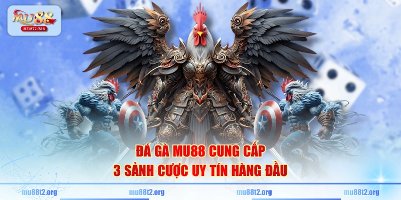 Đá gà MU88 cung cấp 3 sảnh cược uy tín hàng đầu